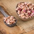 pinto bean recipe vegan