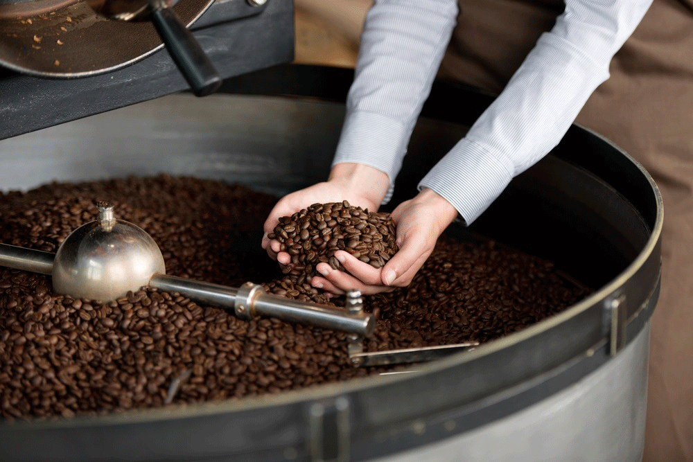 best coffee beans for latte
